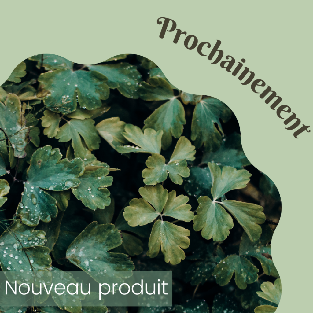 Template Instagram « nature» préconçu