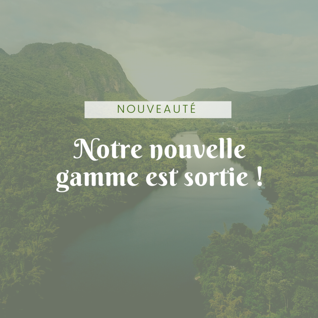 Template Instagram « nature» préconçu