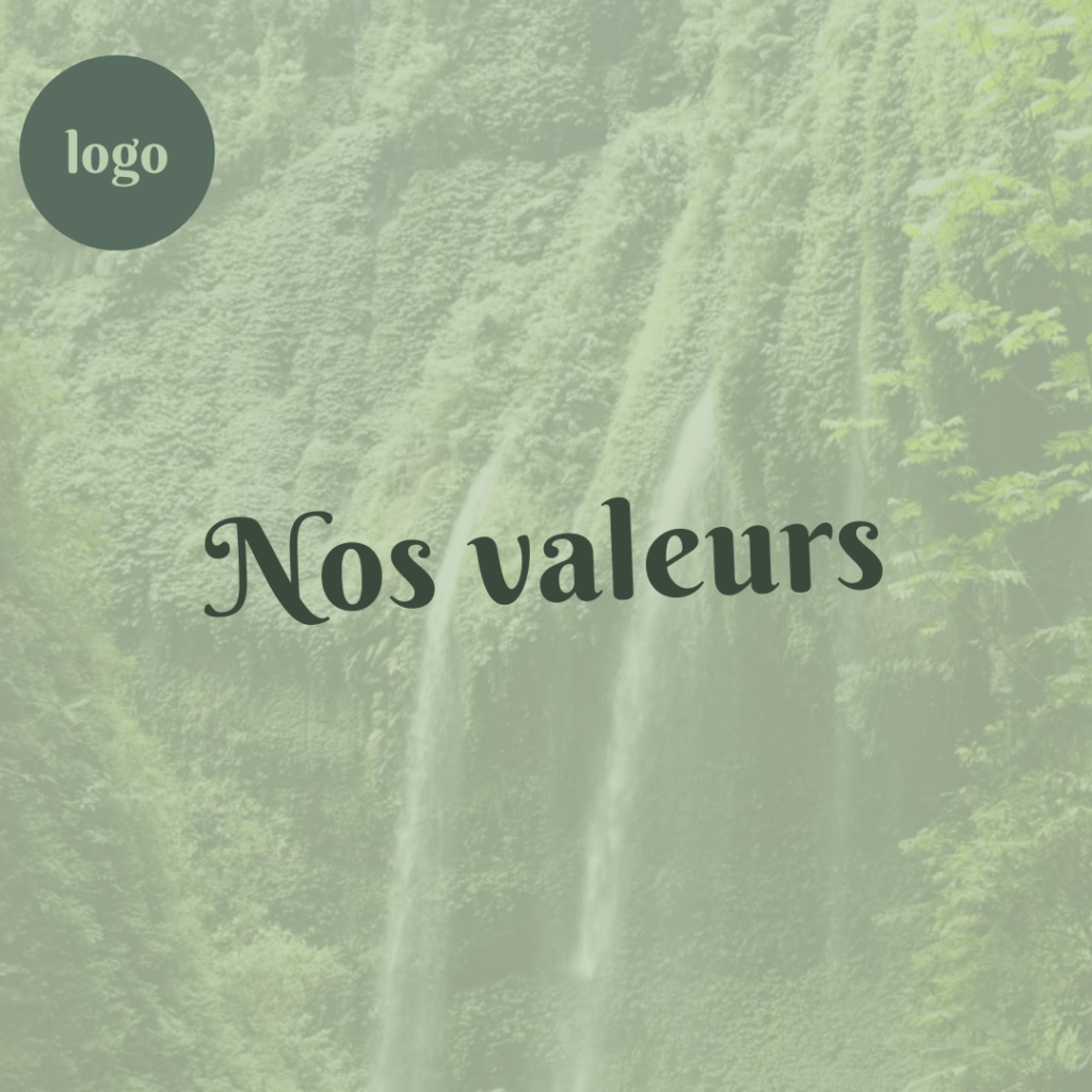 Template Instagram « nature» préconçu