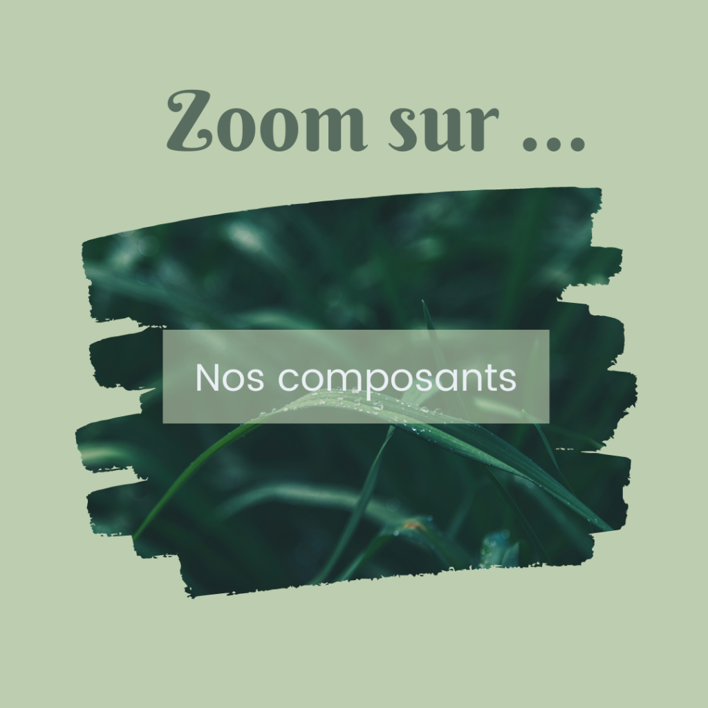 Template Instagram « nature» préconçu