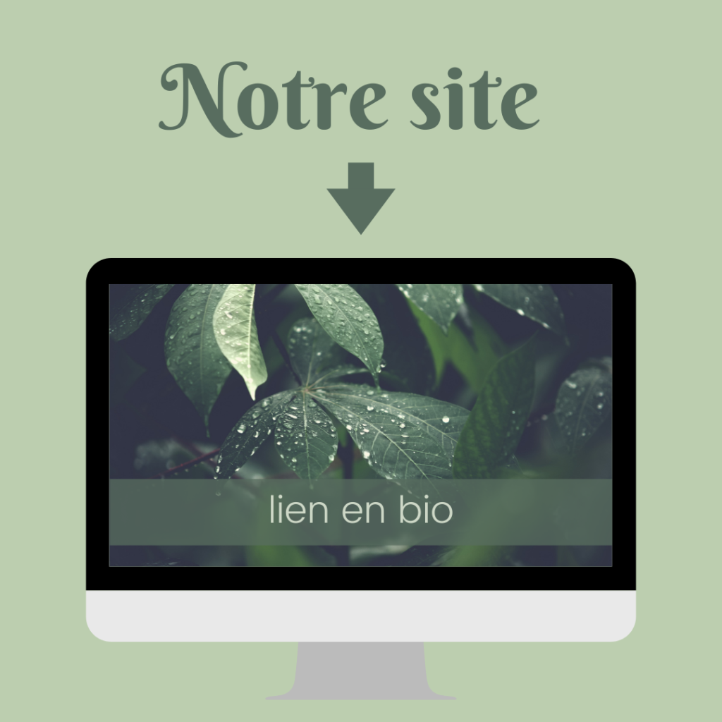 Template Instagram « nature» préconçu